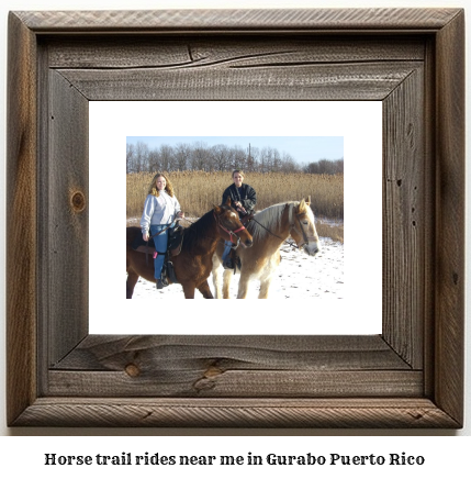 horse trail rides near me in Gurabo, Puerto Rico